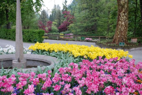 Glavna vhodna pot v Arboretum Volčji Potok